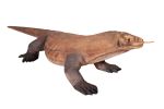 Enormous Komodo Dragon 130 Inch Long