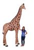 Giraffe 12 ft