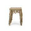 Farmhouse Teak Branch End Table