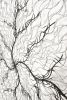 Iron Wire Root Wall Décor 59 inches