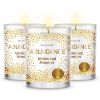 Magnificent 101 Abundance Set of 3 Candles